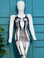 Monochrome Illusion Cut-Out Mini Dress & Fishnet Set - Image 3