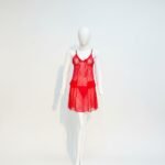 Elegance in Lace: Crimson Red Sheer Babydoll Nightwear
