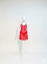 Elegance in Lace: Crimson Red Sheer Babydoll Nightwear